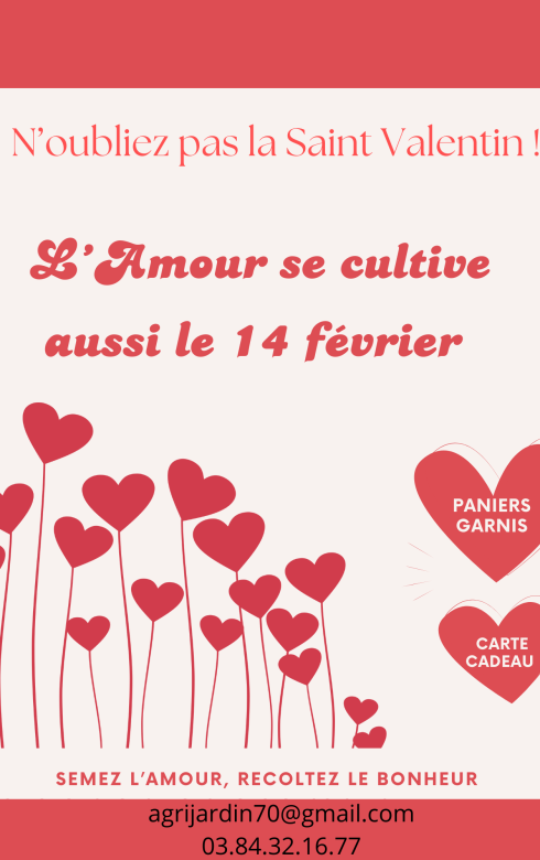 Affiche Soirée Saint-Valentin Illustration Minimaliste Rouge