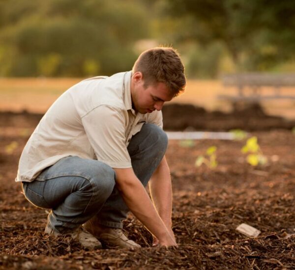 Produits élevage haute saone Gy